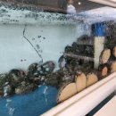 온다ONDA, 동해 이미지