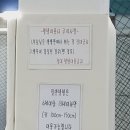 롤리팡 이미지