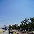 GS25송지호해변점