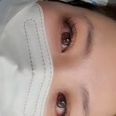 펄아이래쉬