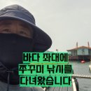 쭈꾸미박사