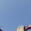 이타임24 이미지