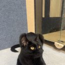 동물보육원 김포지부 이미지