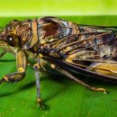 나경에너지 이미지