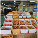 선산대로5-2 이미지