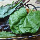 청하가든 이미지