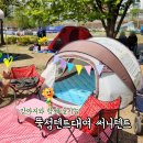 오마이펫 | 뚝섬텐트대여 자양역 놀거리 뚝섬유원지 텐트존 시간 애견동반 한강공원 돗자리 써니텐트 그늘막