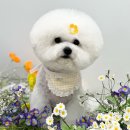 (주)스타몽 이미지