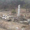 신녕면-가천리-1