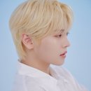 한음 Daum카페