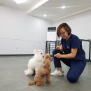 키움동물병원 이미지