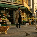 추리소설 4번 길모퉁이의 단서들 이미지