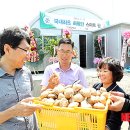 토탈솔루션 이미지