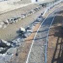 회원동029 이미지