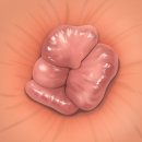 목동항외과의원 이미지