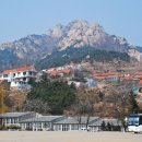 석도진 이미지