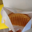 와플대학강릉교동캠퍼스