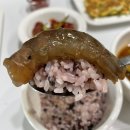 [전주] 전주 새우장, 홍어무침 맛집 송천동 '신구 수산 중도매인 6번' 포장 후기 :)