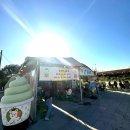 박사마을 | 춘천 의암호 맛집 박사마을 곰 핫도그 솔직 후기 🌭