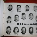 판동초등학교 이미지