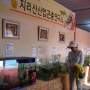 산청지리산약초 Daum카페