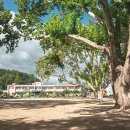 임고초등학교 이미지