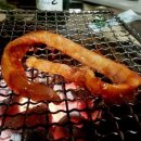 땡초꼼장어 이미지