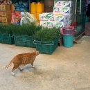 사비로100번길 이미지