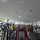 머슬제이 | 머슬제이 선택 전 볼 핵심 정보