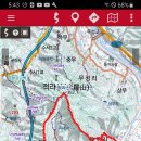 불로리 이미지