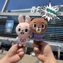 투어식스 | 260517 데이식스 전국투어 부산 막콘 후기 〈The DECADE in BUSAN〉 (+톤쇼우,영진국밥,초량불백)