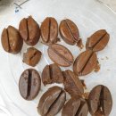커피콩