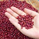 채운영농조합법인 이미지