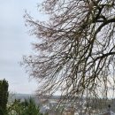 수원-1634 | [독일] Day 2. Runkel Castle