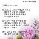 백향 이미지