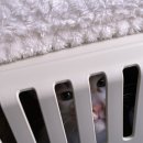 고양이 미용&호텔 뽀냥 | [창동/고양이미용&amp;호텔 뽀냥] 새해맞이 크림이 꽃단장하는 날🌼 / 고양이미용 고양이무마취미용 고양이호텔