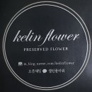 켈린플라워