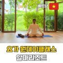 아침요가 | 나트랑 알마리조트 요가 클래스 후기 아침을 깨우는 비기너 요가 체험