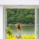 해바라기카페 - 포천시 | 해바라기카페
