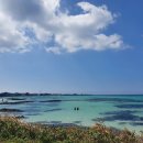 싱싱좋은날횟집 이미지