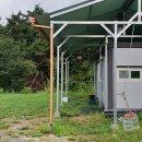 똘배농장 이미지