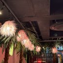 여기우다 이미지