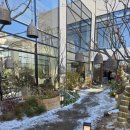 토지 | 평택브런치카페 토지베이커리 연어샌드위치와 루꼴라피자 후기