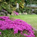 울산민박 이미지