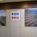 우리네코다리2 이미지