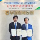 카카오일 이미지