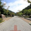 용두산오토캠핑장 이미지
