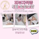 숲칼프보라매 이미지