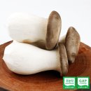 호산목장 이미지