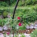 승희농장 이미지